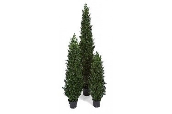 4' LIMITED UV ARTIFICIAL CEDAR TREE IN WEIGHTED BASE