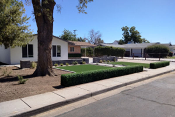 Free Standing Hedge & Cubes